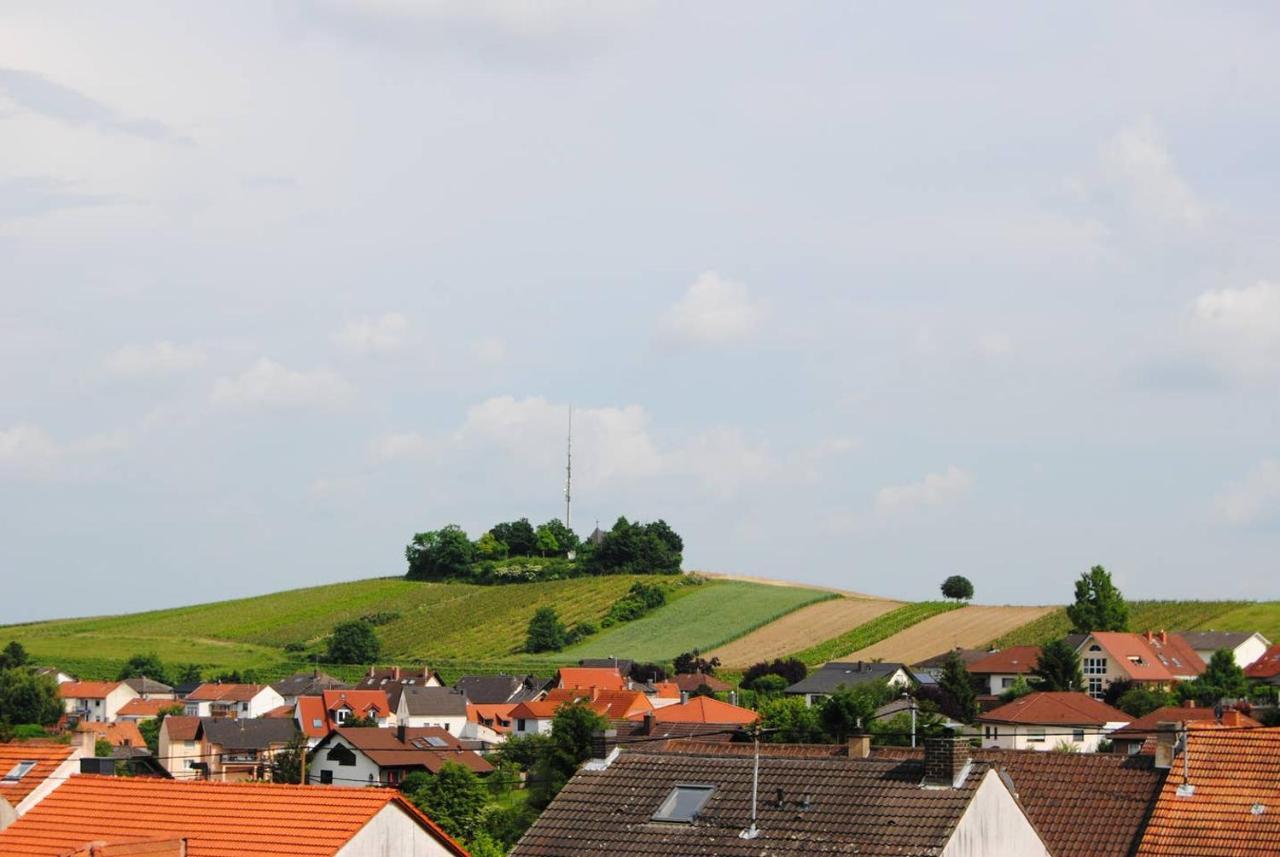 Hackenheim Ferienwohnung Kirchbergblick מראה חיצוני תמונה